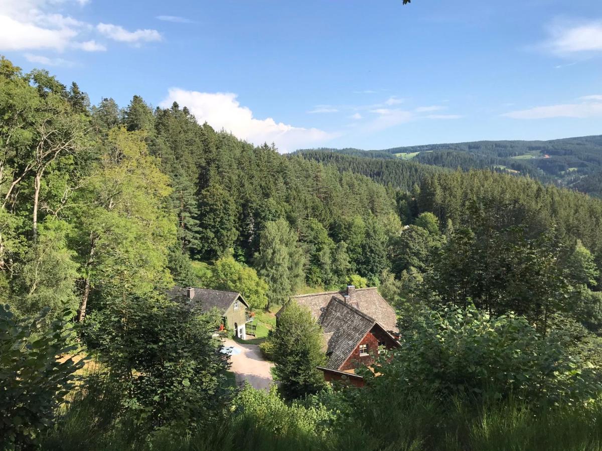 Apartamento Ferienwohungen Gibbesbachhof Triberg im Schwarzwald Exterior foto