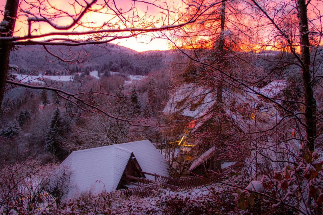 Apartamento Ferienwohungen Gibbesbachhof Triberg im Schwarzwald Exterior foto