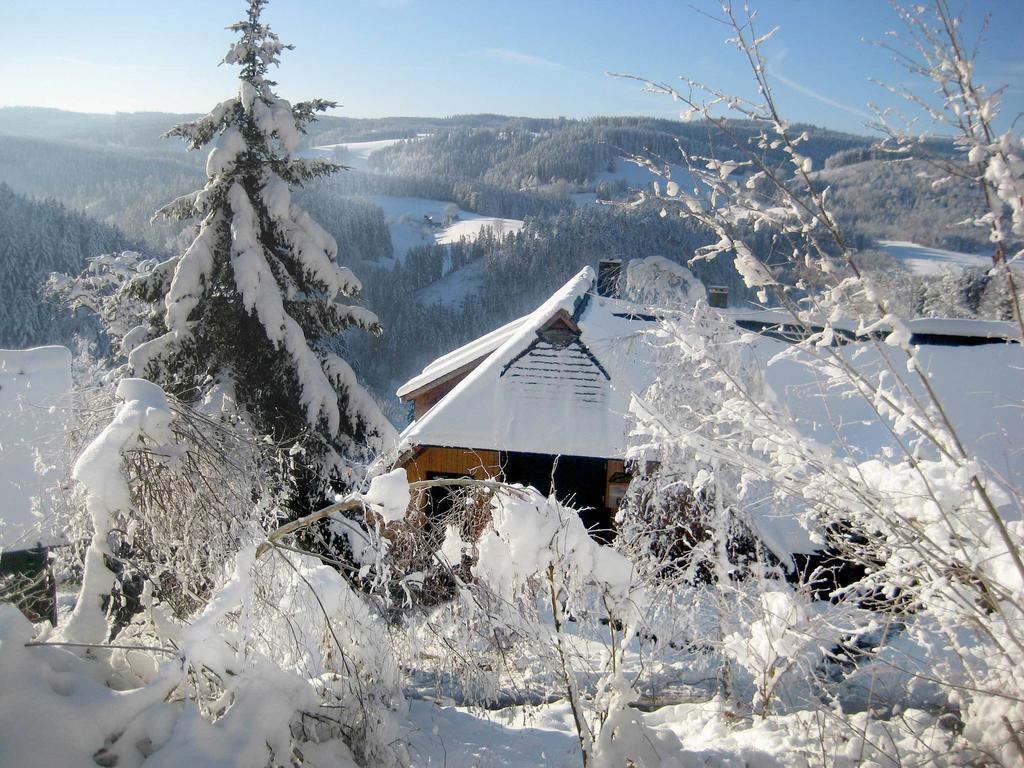 Apartamento Ferienwohungen Gibbesbachhof Triberg im Schwarzwald Exterior foto