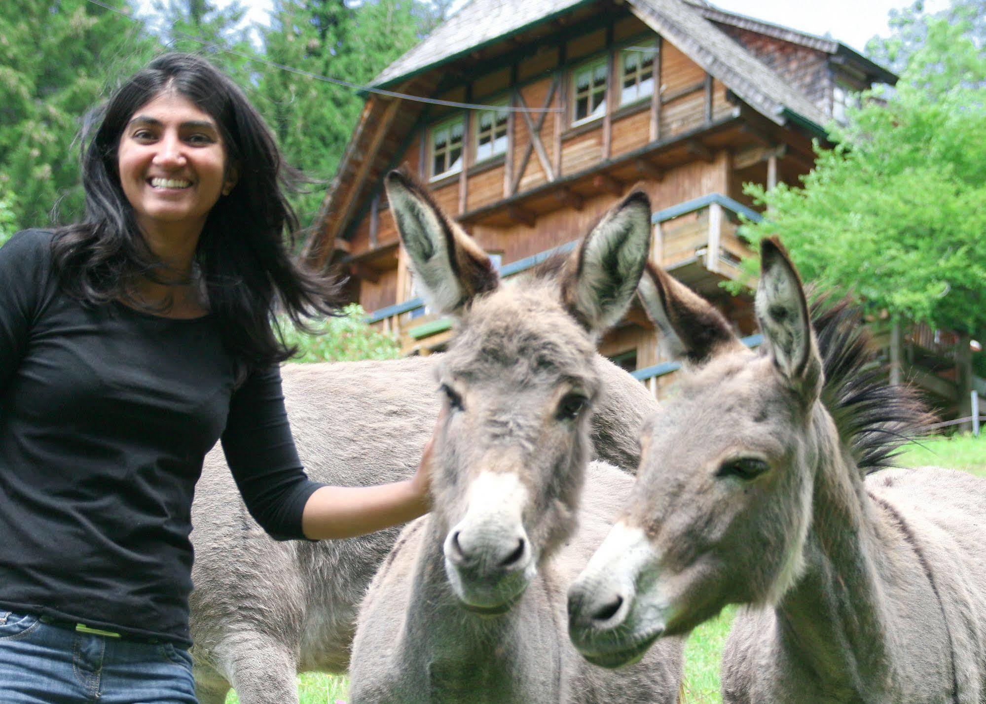 Apartamento Ferienwohungen Gibbesbachhof Triberg im Schwarzwald Exterior foto