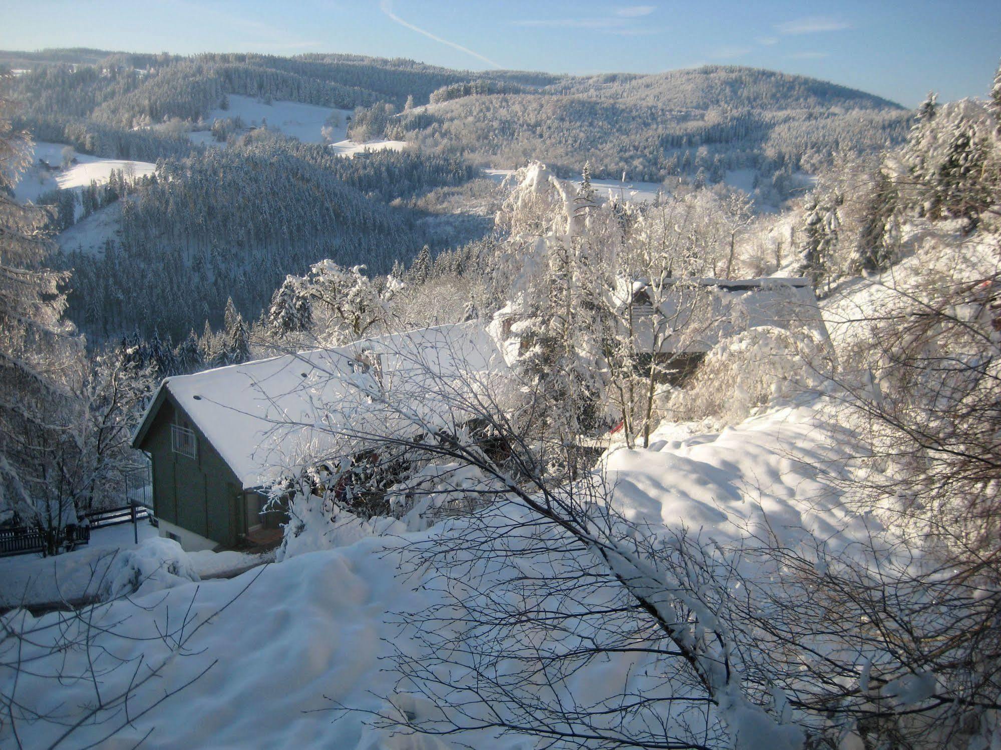 Apartamento Ferienwohungen Gibbesbachhof Triberg im Schwarzwald Exterior foto