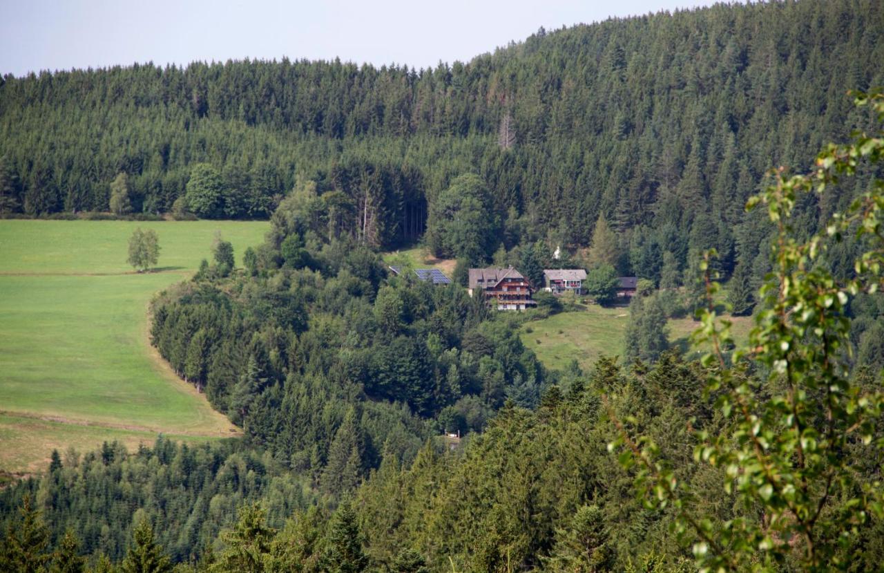 Apartamento Ferienwohungen Gibbesbachhof Triberg im Schwarzwald Exterior foto